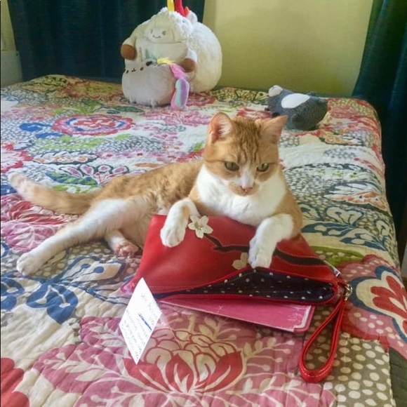 Meet your Posher, Ben - Picture 3 of 3